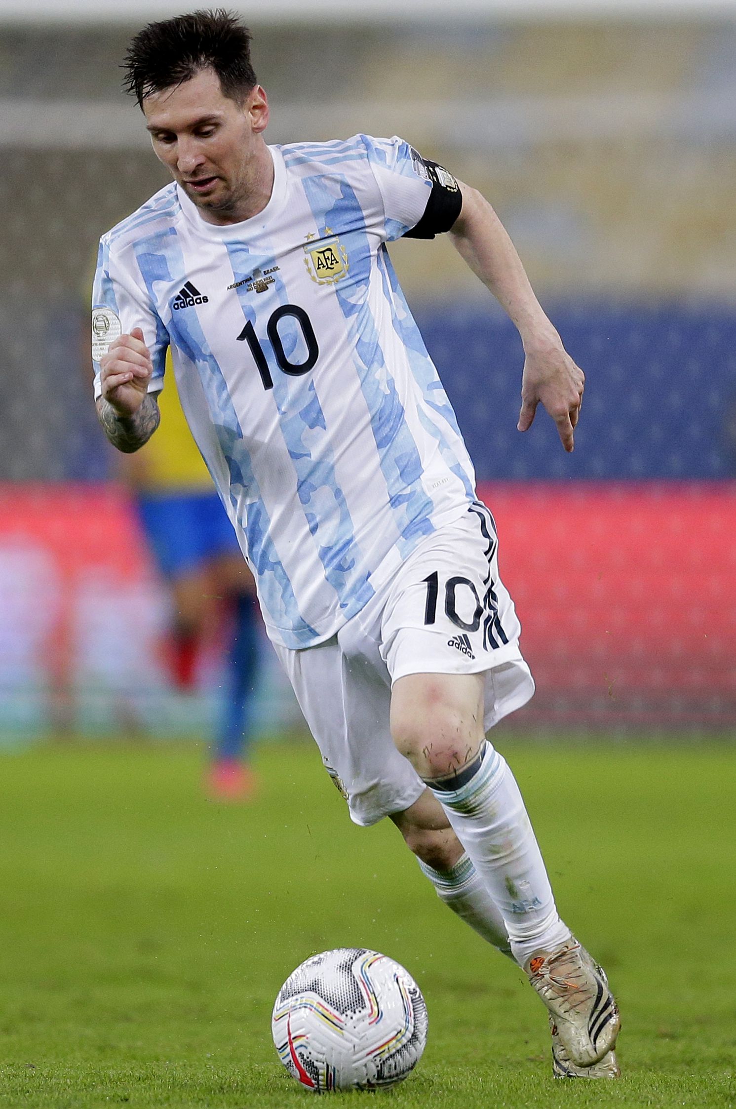 但杨莉娜的 但杨莉娜的